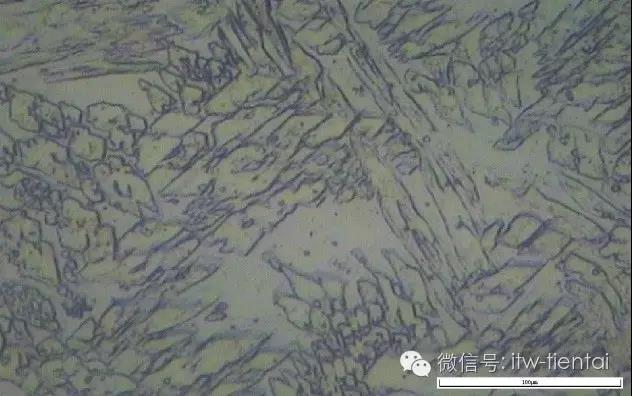 mg不朽情缘(中国)官方网站