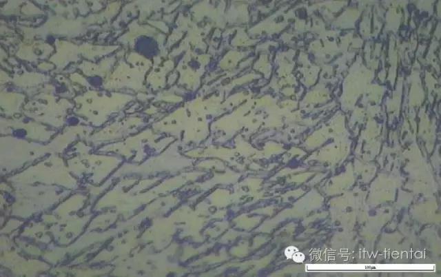 mg不朽情缘(中国)官方网站